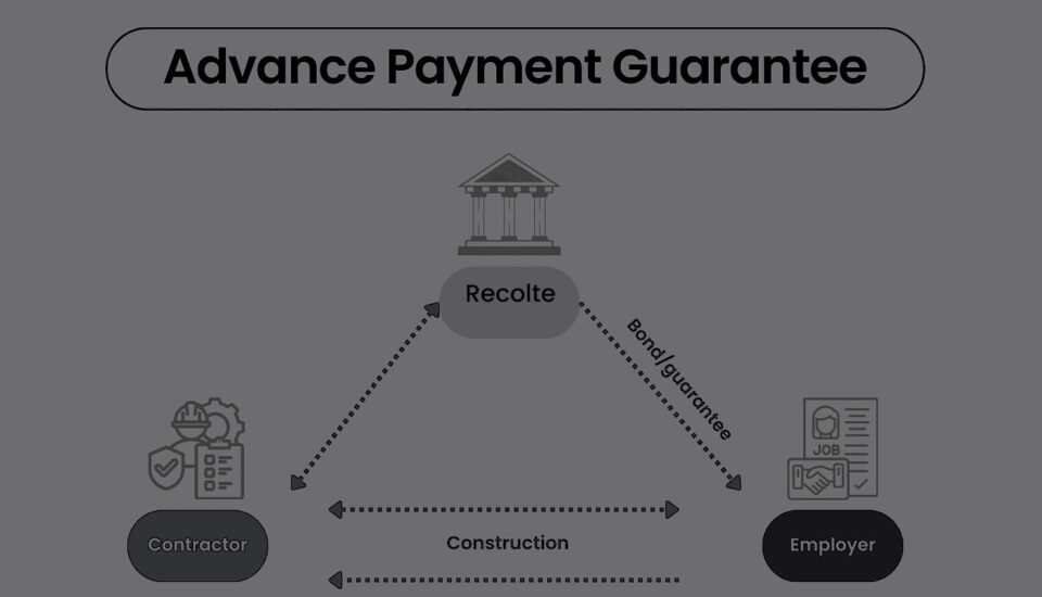 Advance Payment Guarantees